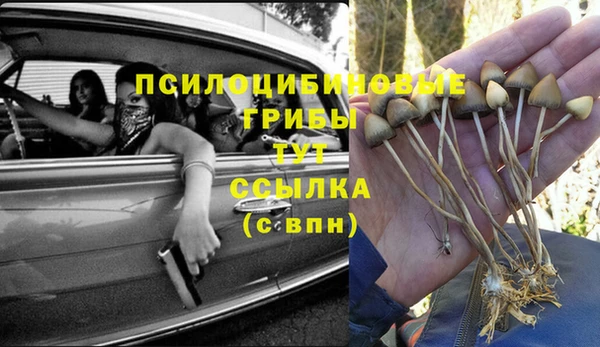 ECSTASY Алексеевка