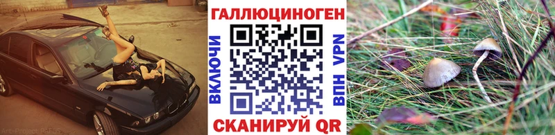 Псилоцибиновые грибы мухоморы  Хотьково 